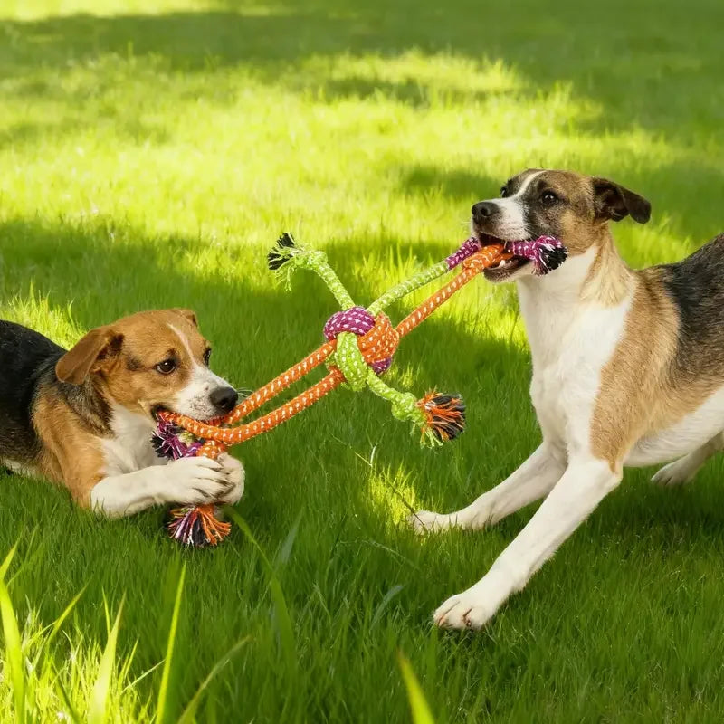 Durable Dog Rope Toy For Chewing And Tug War Elite