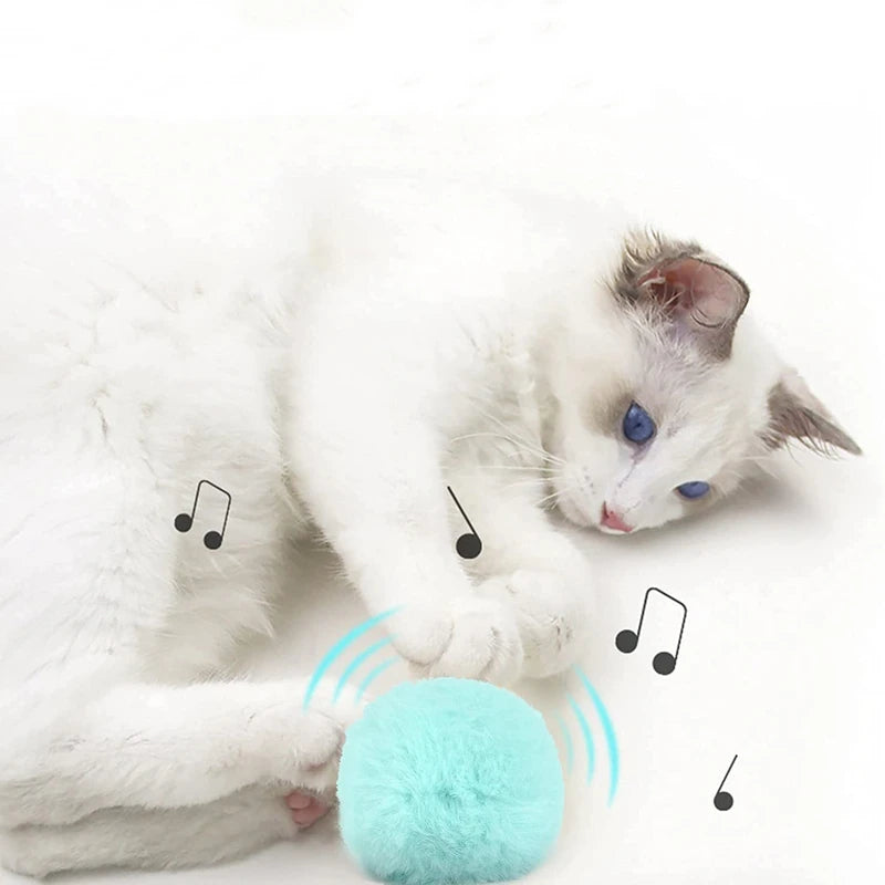 Interactive Plush Cat Ball Squeak Toy With Catnip Training