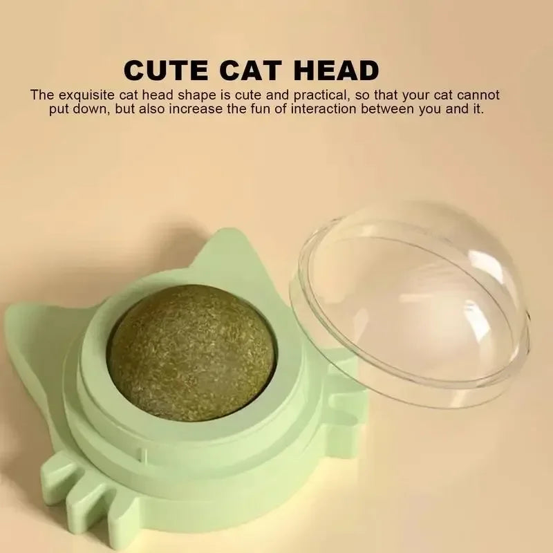 Catnip Ball Cat Toys For Cats Natural Interactive Fun