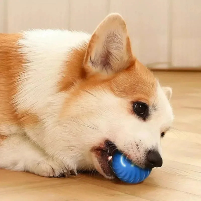 Automatic Moving Dog Ball Toy USB Rechargeable