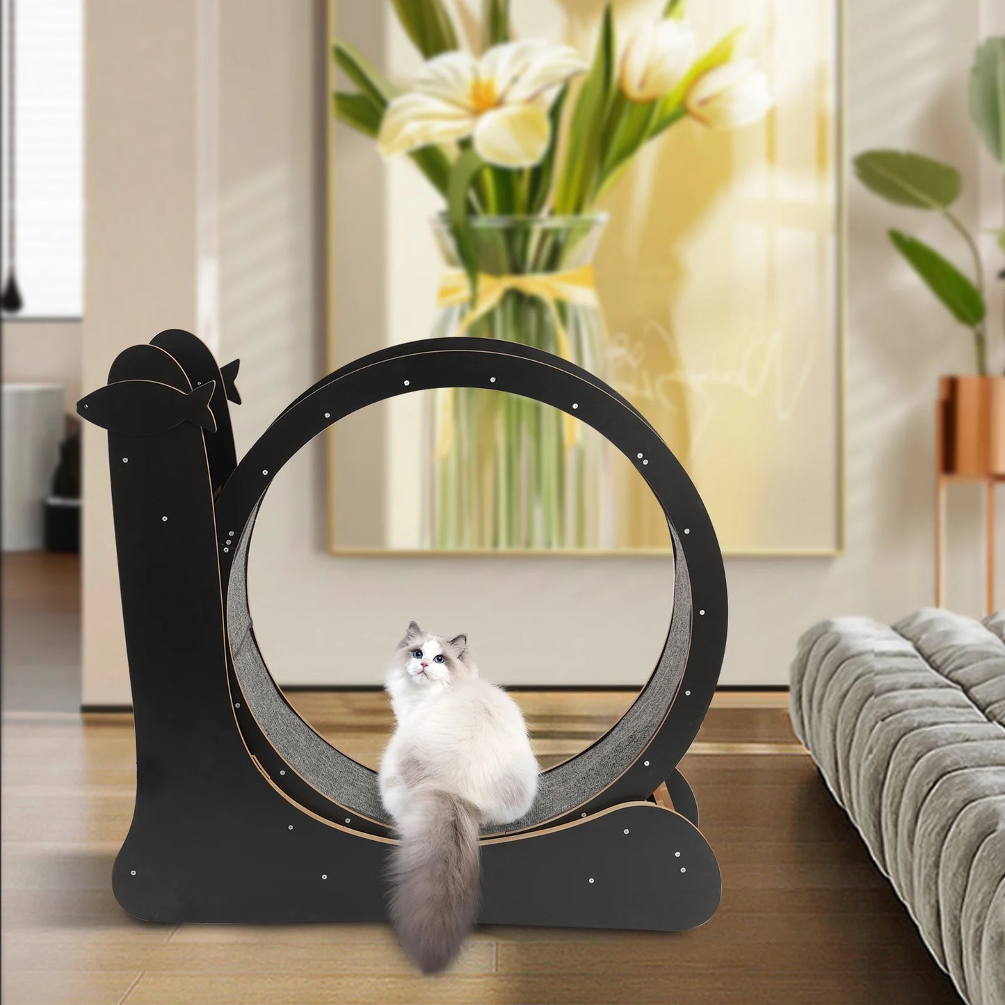 Cat Exercise Wheel With Carpeted Runway And High Fiber Board