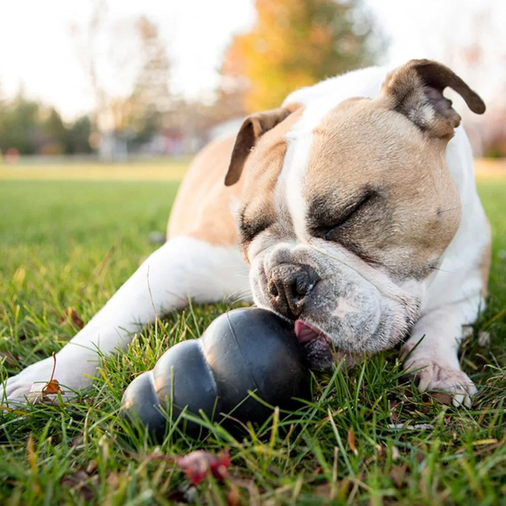 Extreme Dog Toy Treat Filling Durable Natural Rubber Chew Toy