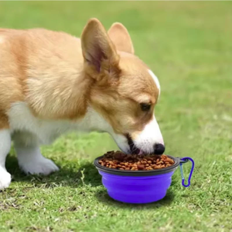 Collapsible Silicone Food And Water Bowl For Cats And Dogs