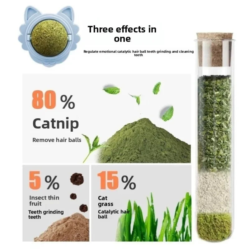 Catnip Ball Cat Toys For Cats Natural Interactive Fun