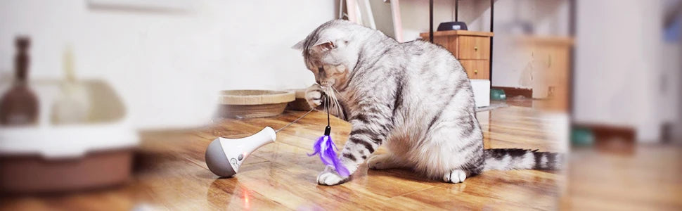 Interactive Cat Exercise Toy With Quiet Automatic Rotating Design