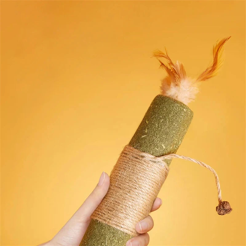 Interactive Plush Cat Ball Squeak Toy With Catnip Training