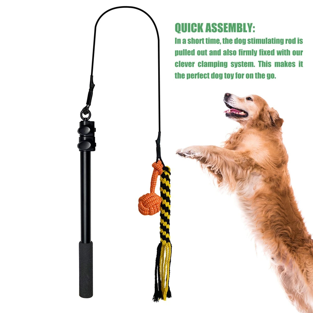 Interactive Dog Toys for Small & Large Dogs for Outdoor Training & Entertainment