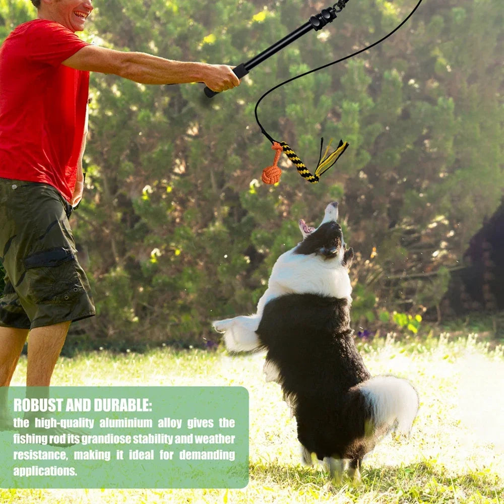 Interactive Dog Toys for Small & Large Dogs for Outdoor Training & Entertainment