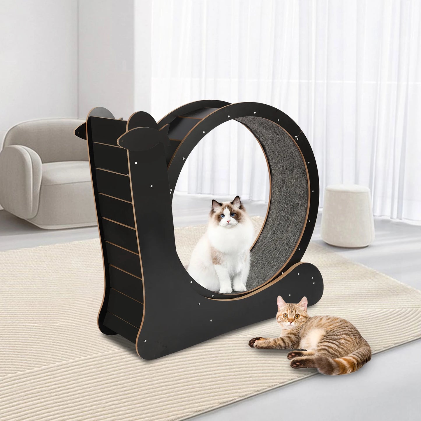 Cat Exercise Wheel With Carpeted Runway And High Fiber Board