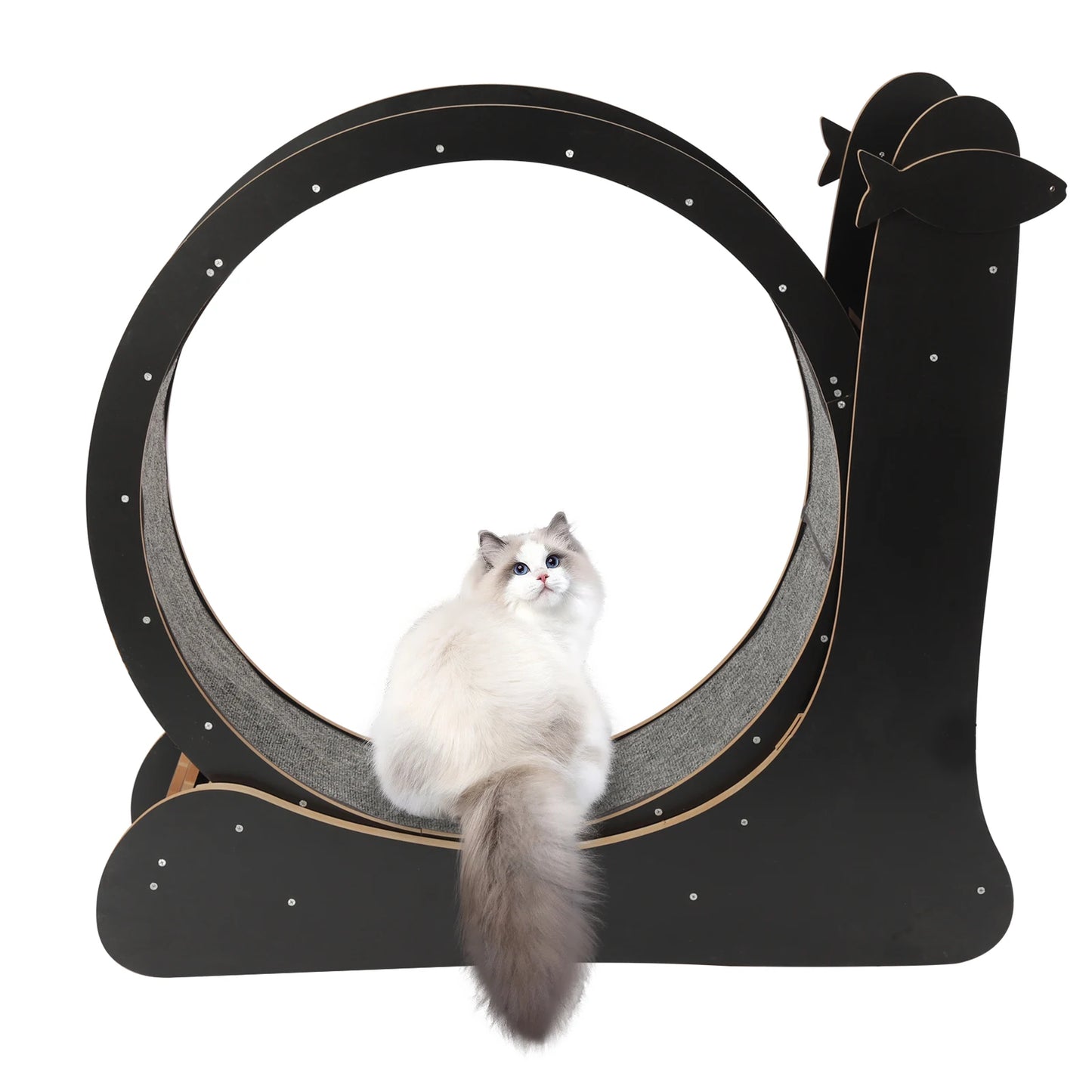 Cat Exercise Wheel With Carpeted Runway And High Fiber Board
