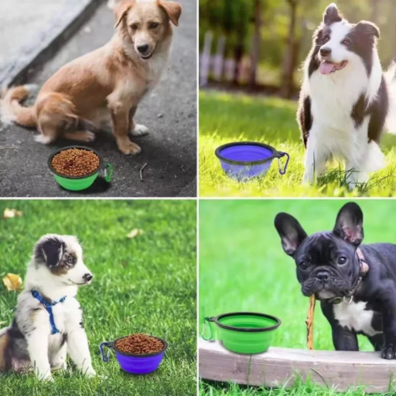 Collapsible Silicone Food And Water Bowl For Cats And Dogs
