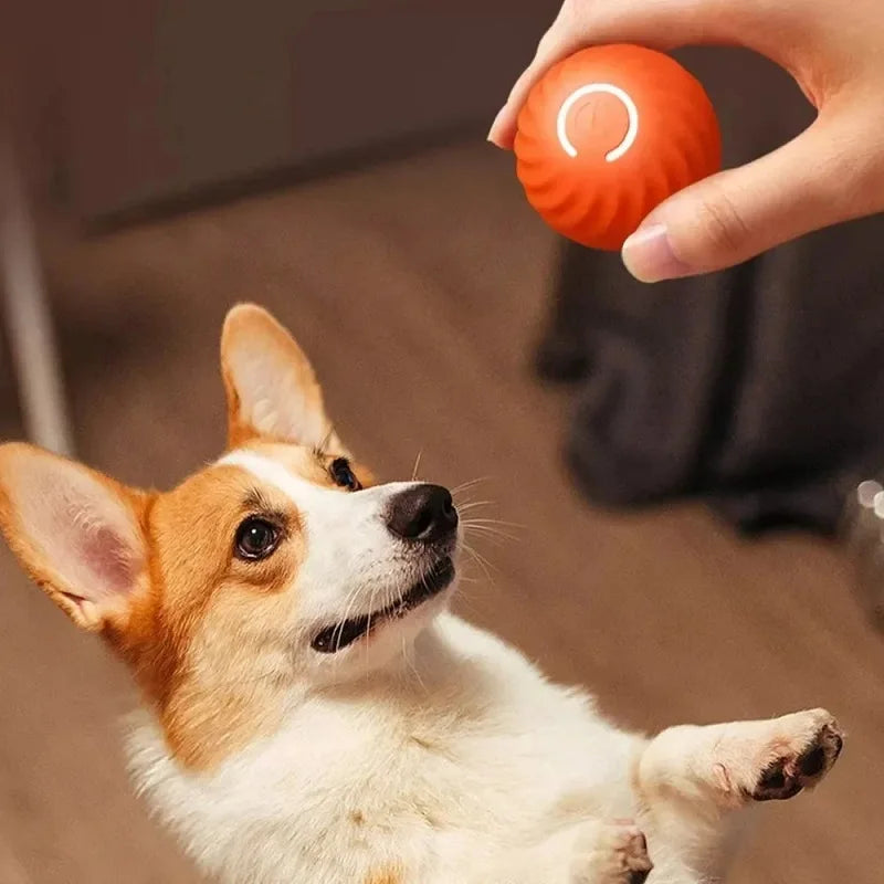 Automatic Moving Dog Ball Toy USB Rechargeable