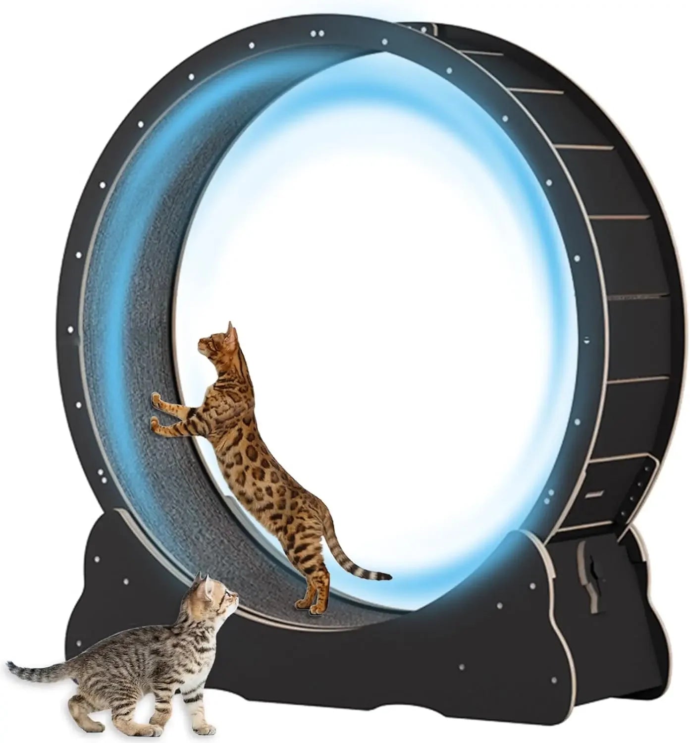 Cat Treadmill With Lock & Minimized Gap design