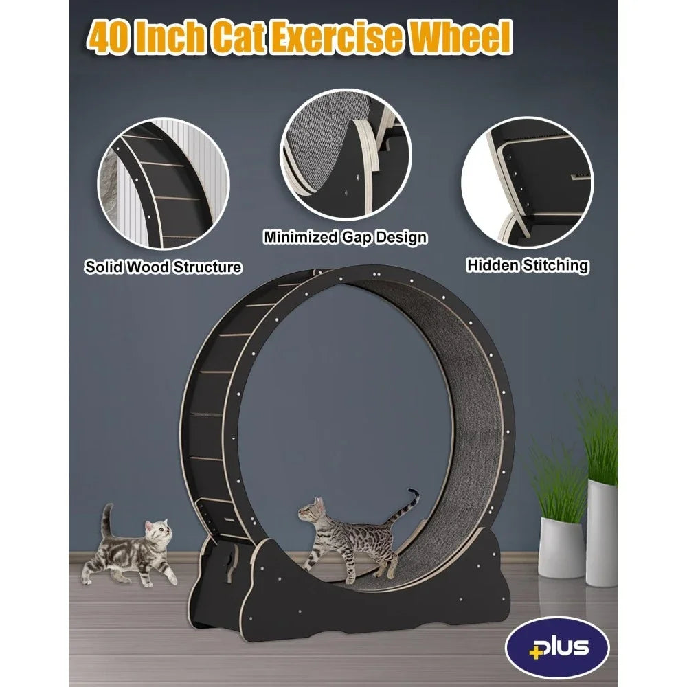 Cat Treadmill With Lock & Minimized Gap design