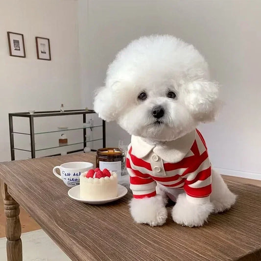 Striped Dog Soft Pullover T-Shirt for All Seasons