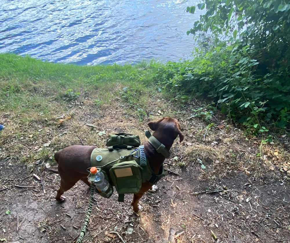 Tactical Dog Harness Collar Leash with Pouches For Medium & Large Dogs