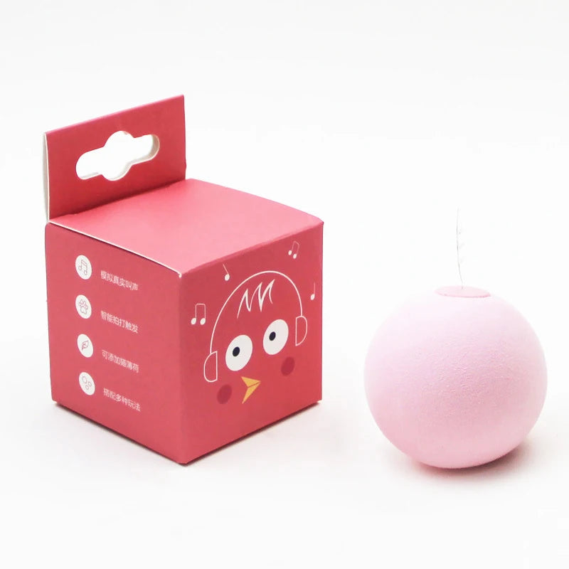 Interactive Plush Cat Ball Squeak Toy With Catnip Training