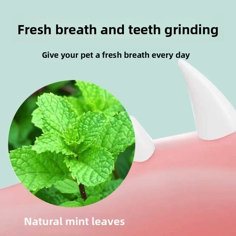 Catnip Ball Cat Toys For Cats Natural Interactive Fun