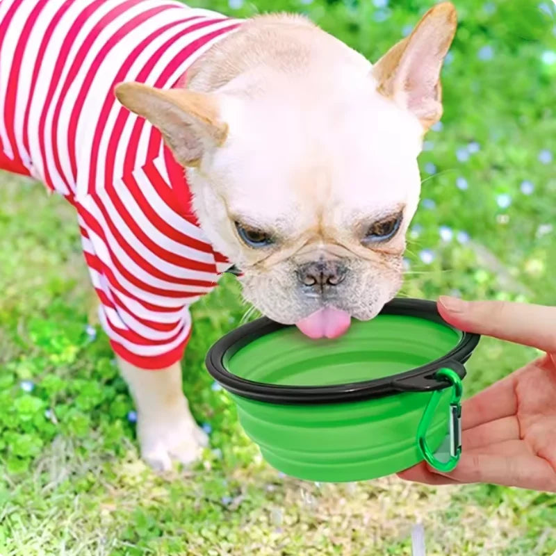 Collapsible Silicone Food And Water Bowl For Cats And Dogs