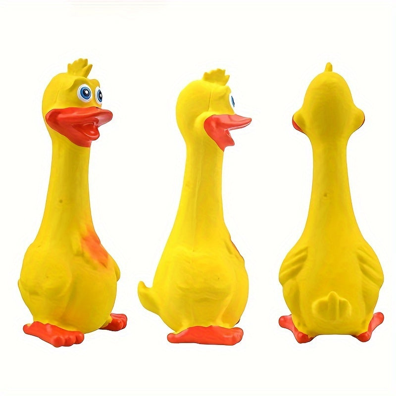 3pcs Bite Resistant Squeaky Dog Toys